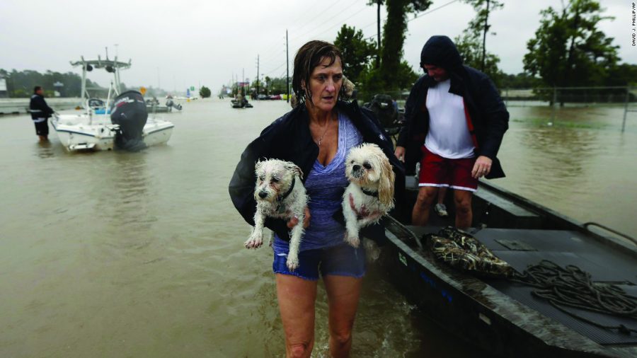 TEXAS+TRAGEDY