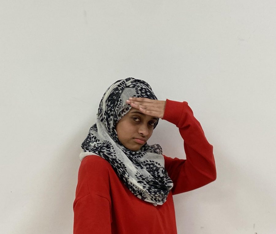 Zarin Ismail