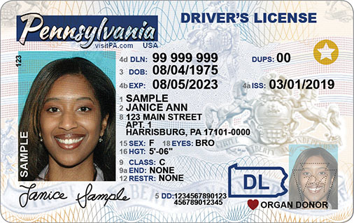 Fake IDs